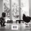 Contra-cubierta libro Pito Pito